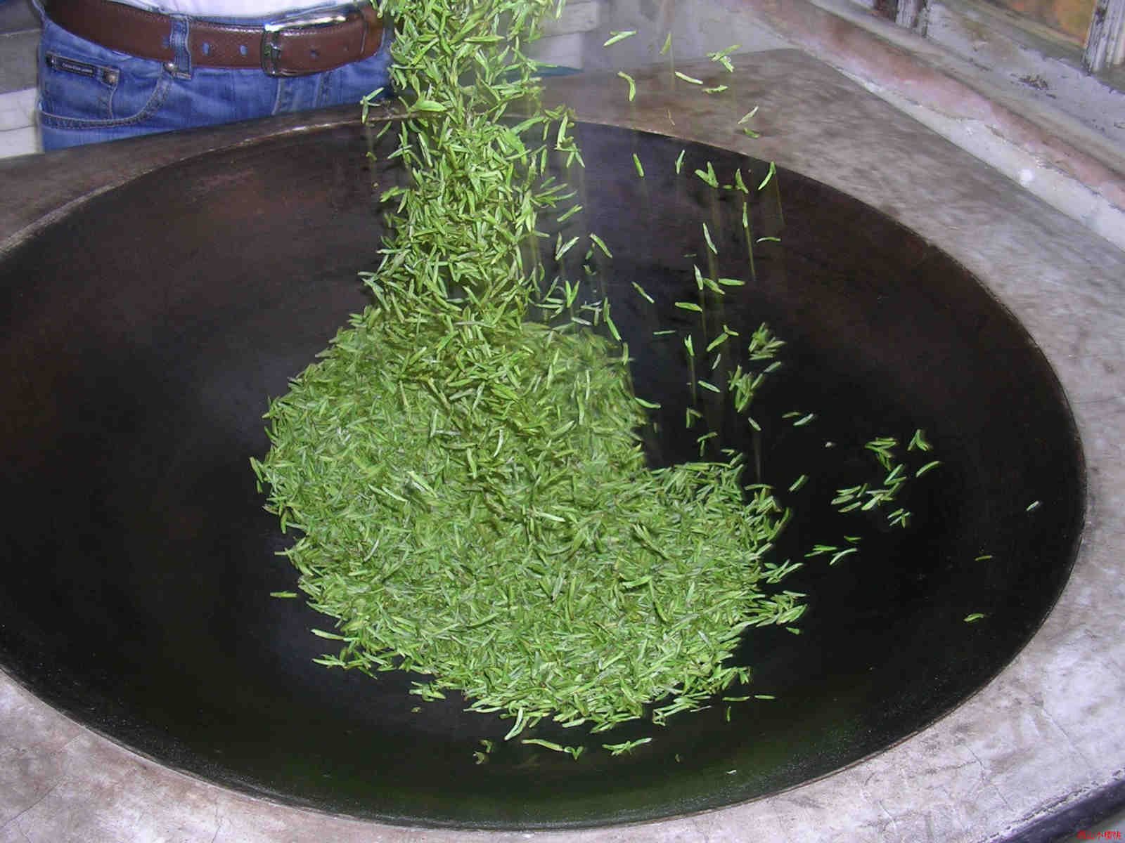 biluochun-green-tea