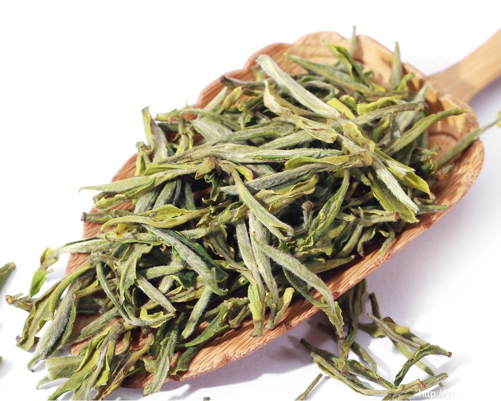 huangshan-mao-feng-green-tea_1